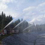 teichreinigung_2021-05-01 019